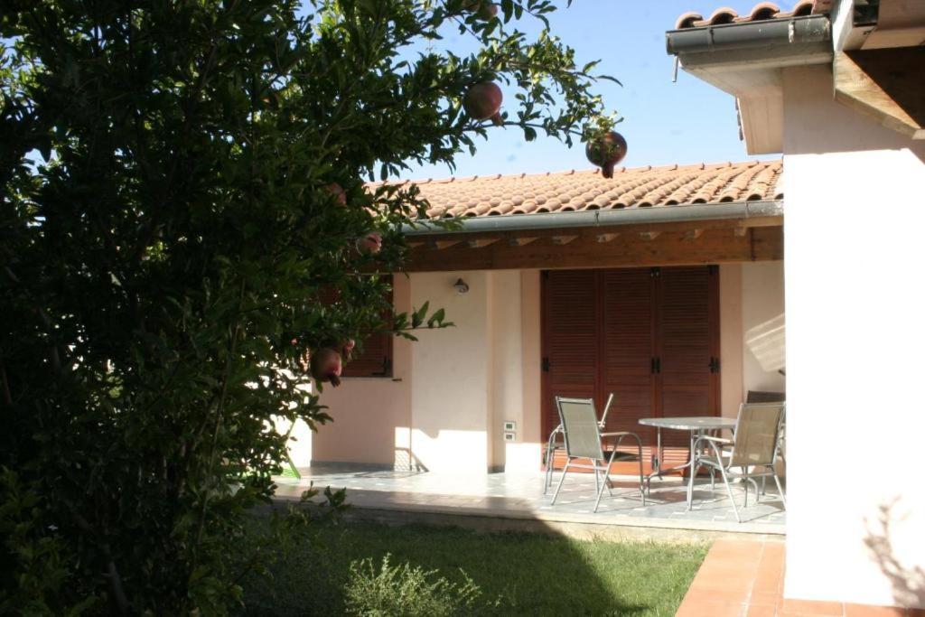 Villaggio Il Girasole فولّونيكا المظهر الخارجي الصورة